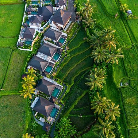 Dewi Kunti Villa Tegallalang  Bagian luar foto
