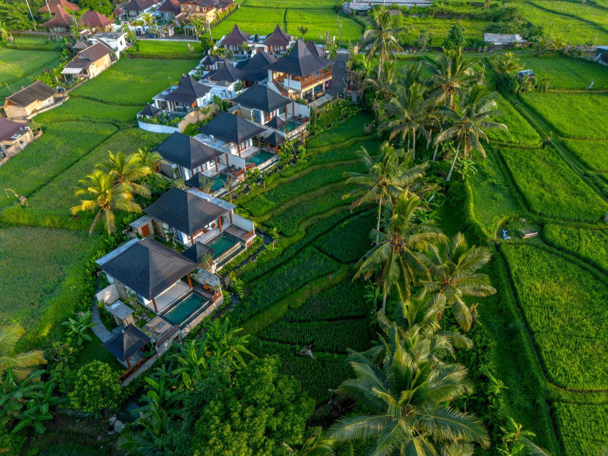 Dewi Kunti Villa Tegallalang  Bagian luar foto