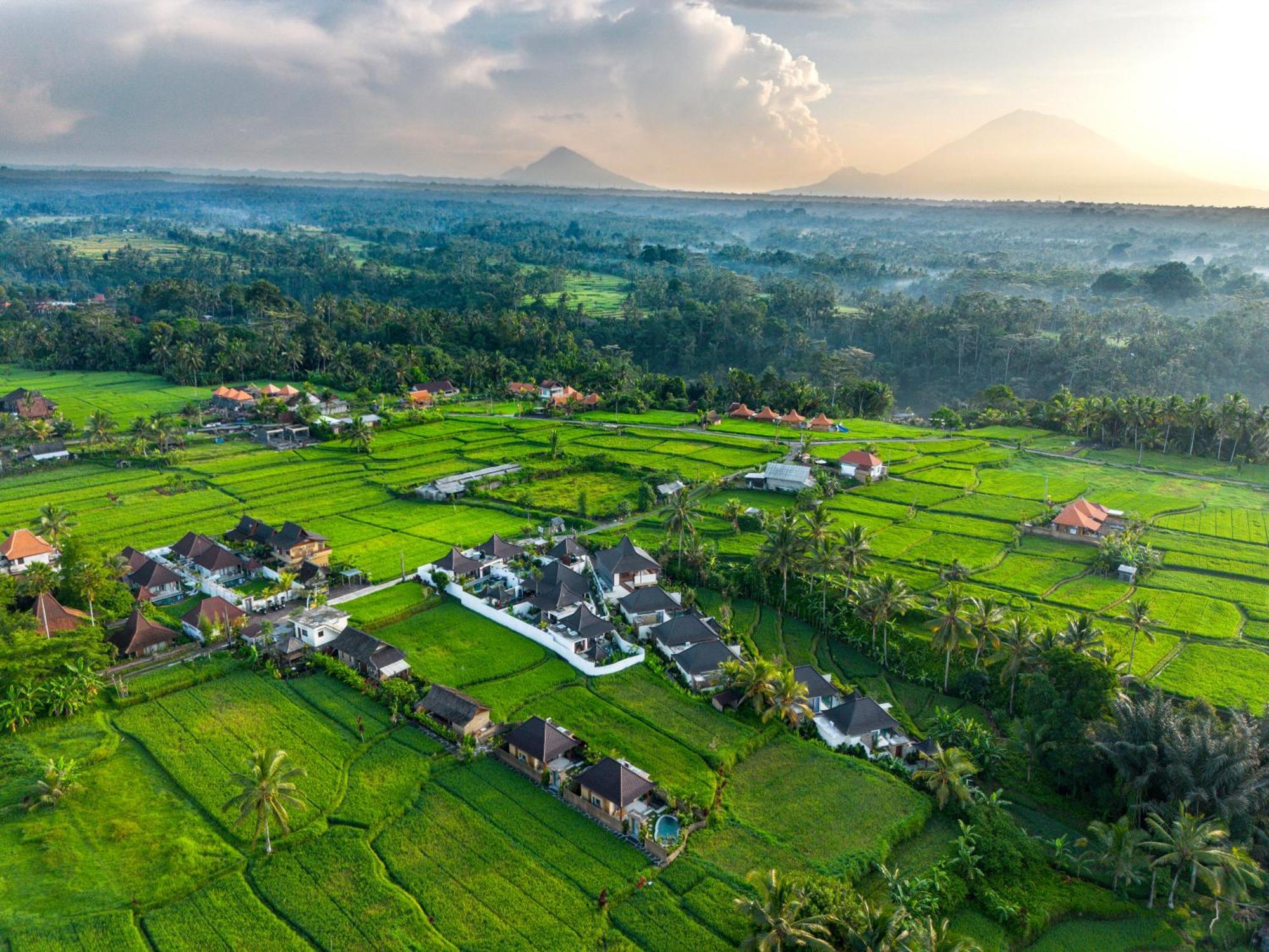 Dewi Kunti Villa Tegallalang  Bagian luar foto