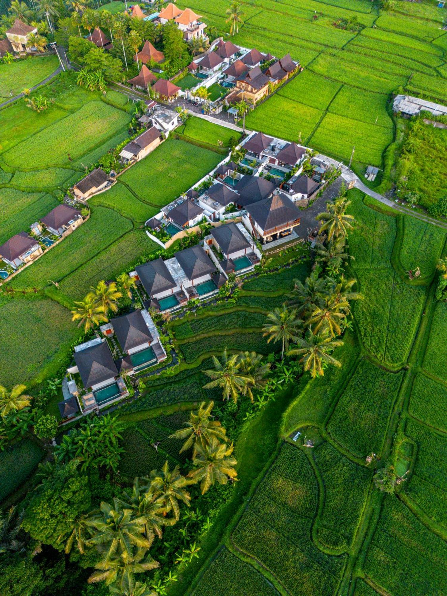 Dewi Kunti Villa Tegallalang  Bagian luar foto